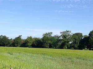 Cranleigh's Green Fields say No to housing dump