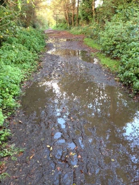 Muddy Downslink in Cranleigh