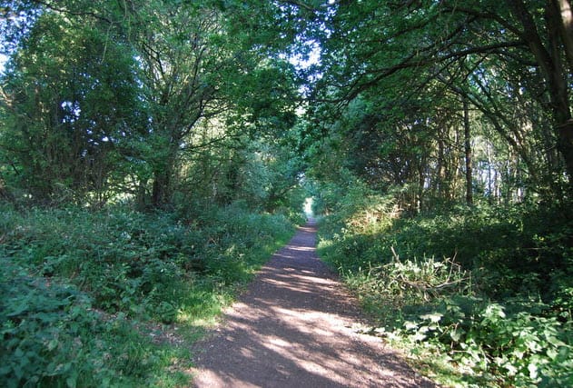 the old cranleigh railway line - downs link