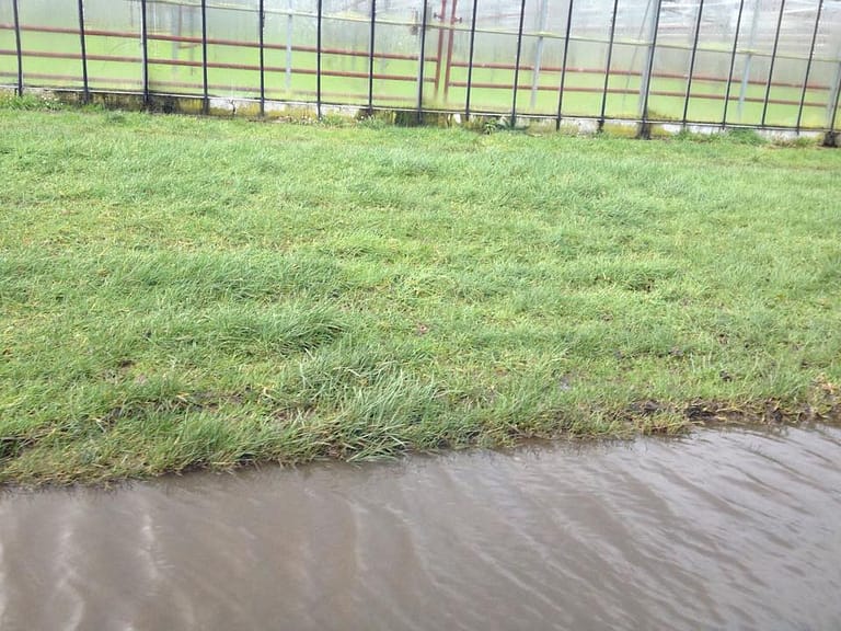 West Cranleigh Nurseries Alfold Road Flooding